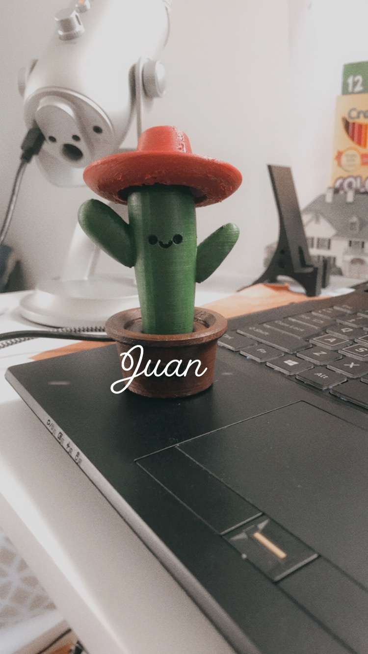"Juan" the cactus — a sourced model, my first 3D print